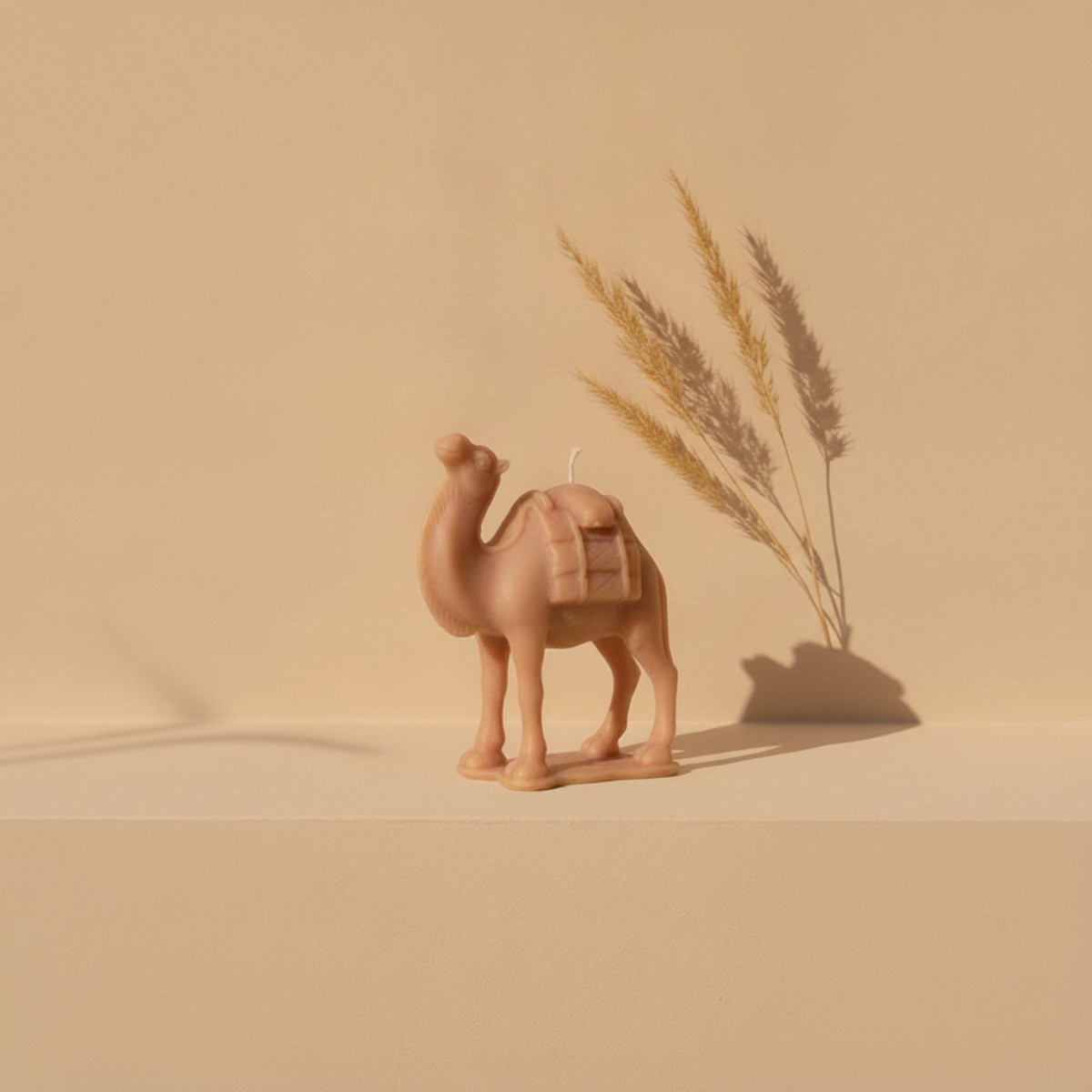 Silk Road Camel