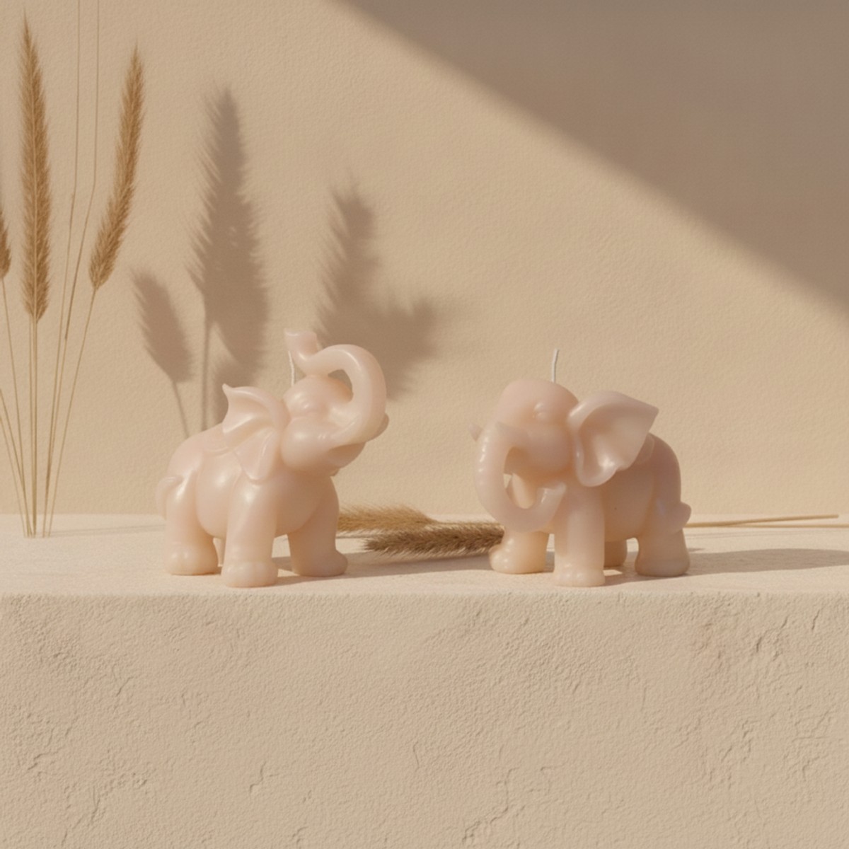 Lucky Elephant Pair